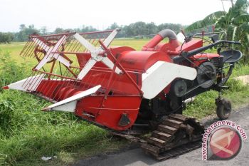 Bulog Sulteng Panen Perdana Padi On Farm Di Tolitoli