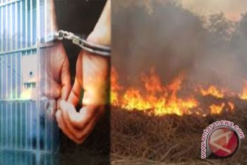 Polisi Tangkap Lima Pembakar Lahan
