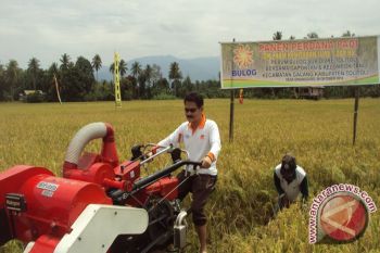 Bulog Sulteng Miliki Penggilingan Gabah Plus