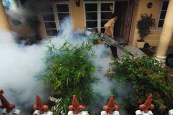 Warga Sumsel waspada, DBD masih mengancam