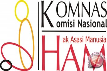 Pengamat: Rencana Komnas HAM panggil Ketua  KPK bersifat tendensius