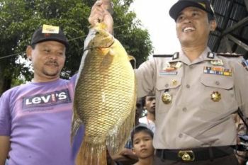 Polres Sijunjung Ungkap Lima Tambang Emas Ilegal