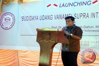 Teknologi Budidaya Udang Supra Intensif Semakin Diminati