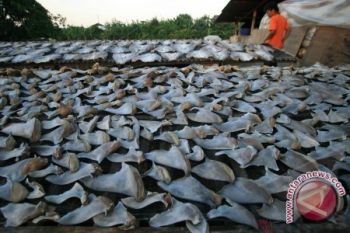 Indonesia usulkan penanganan pencurian ikan jadi model