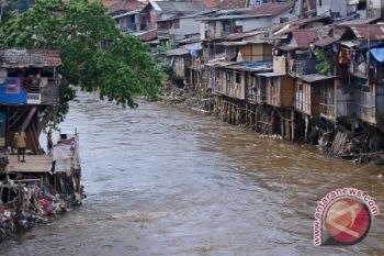 90 Persen Ikan di Sungai Ciliwung Punah?
