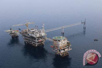Legislator: seluruh gas Masela diminta untuk domestik 