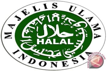 Korsel akan kerja sama dengan MUI 