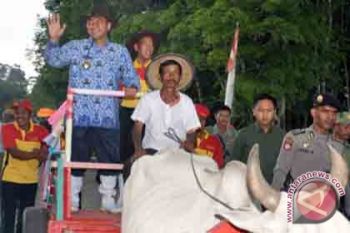 Lampung Selatan Tingkatkan Pengembangan Sektor Peternakan 