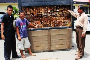 Polres Dharmasraya Tangkap Sopir Angkut Kayu Ilegal