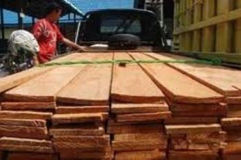 Polres Tangkap Kayu Ilegal yang Diduga Milik Polisi