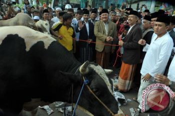 Penyerahan Hewan Kurban