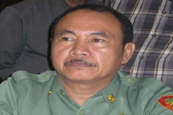 Apresiasi Kegiatan TNI Manunggal Desa 2013