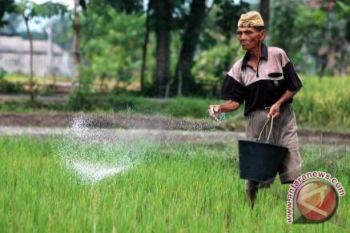 Teknologi siasati peningkatan produksi pangan 