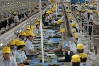 Pembekuan DPKP Turunkan Minat Pekerja pada Jamsos