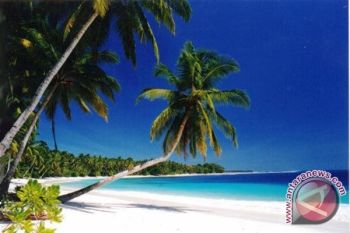 Mentawai tawarkan investor bangun pelabuhan kapal pesiar 