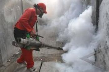 Pemkab Cegah DBD dengan Penyemprotan