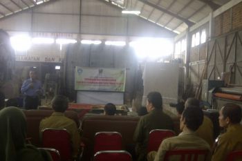 Unand Kembangkan Gambir Mimosa Penyamakan Kulit