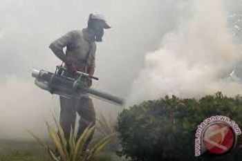 Penderita DBD Batam Meningkat 100 Persen