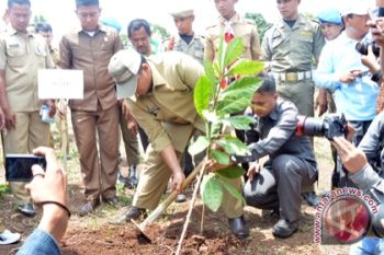Guru di Lampung Selatan Tanam Pohon 