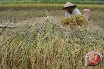 Lampung Selatan Percepat Pembangunan Pertanian