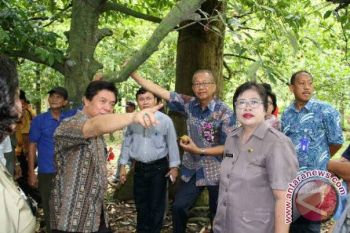 Wamen Pertanian sanjung hasil Pala Minut