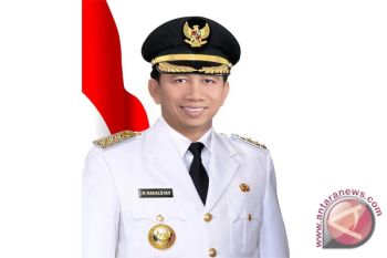 Nadalsyah Harap Investor Membuka Peluang Usaha 