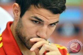Fabregas Kembali Berlatih