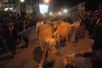 Keraton Surakarta akan Kirab Pusaka Sambut 1 Sura