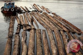JASA ANGKUTAN KAYU GLONDONGAN