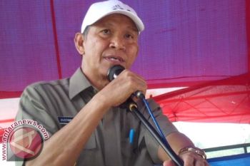 PKB Mamuju Dukung Bustamin Bausat 