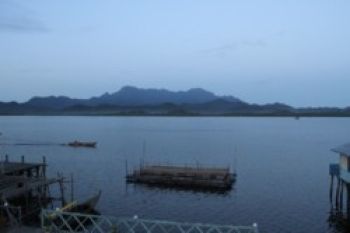 Akuakultur Sangat Potensial Dikembangkan di Kepri