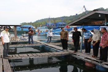 Kunjungi Budidaya Kerapu/Istimewa