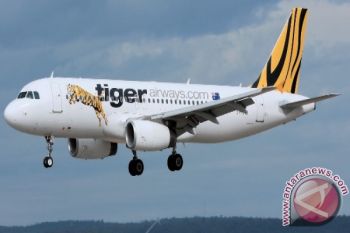Tiger Airways segera layani penerbangan ke Lombok