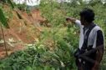 Empat Tewas Akibat Tanah Longsor di Kebumen