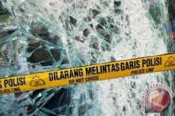 Bus Terjun ke Sawah Akibatkan Enam Tewas