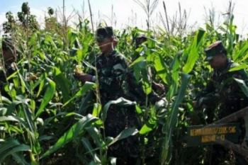 Kembalikan Swadaya Pangan, TNI Siap Bantu Petani