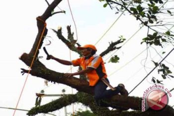 Pembangunan Menara PLN Terkendala Ganti Rugi 