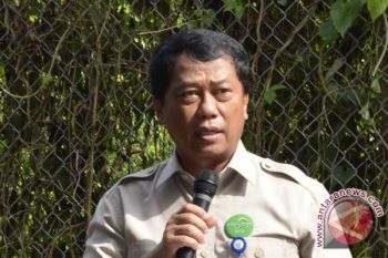 Pusri  targetkan perluas pangsa pasar