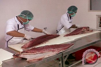 PPI Donggala Miliki Pabrik Pengolahan Ikan