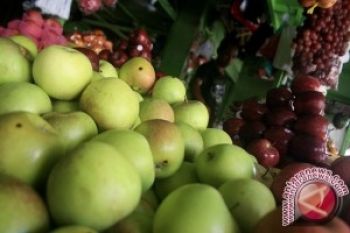 BKP: Apel Impor Di Palu Masih Aman 