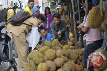 Ribuan warga tumpah ruah ikuti festival hasil hutan bukan kayu