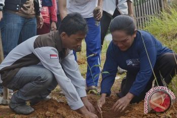 Mahasiswa Unib tanam 1.000 "pohon Natal"