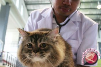 Kementan kekurangan dokter hewan berstatus PNS 