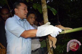 Menhut: Hukum Berat Pelaku Perdagangan Satwa Langka