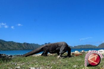Menpar minta saran BPPI soal promosi pariwisata