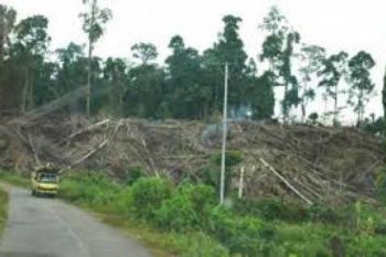 Luas Lahan Kritis di Kudus 900,79 Hektare