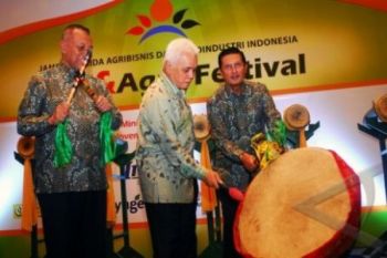 Pemerintah Siapkan Insentif Untuk Ketahanan Pangan