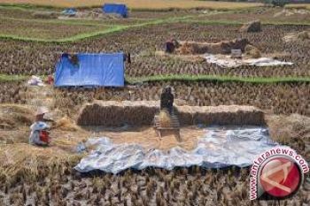 Transformasi Seorang Anak Petani Lombok Timur