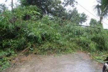 Jalan Tarempa Menuju Antang Putus