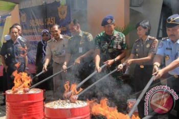 PEMUSNAHAN ROKOK ILEGAL